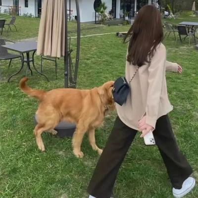 窈窕淑男的日记